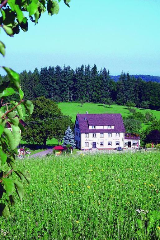 Gasthaus Und Pension Hintere Hofe Freiamt Exterior photo